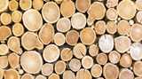 Stacked cut tree logs of various sizes showing round ends and wood grain patterns.