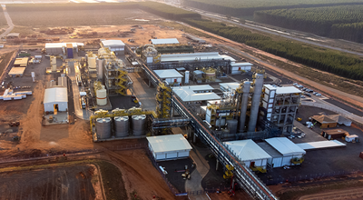 Plant Ribas Brazil