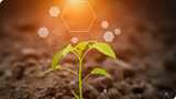 Biology and chemistry, nature