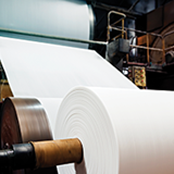 Paper production site, roll of paper