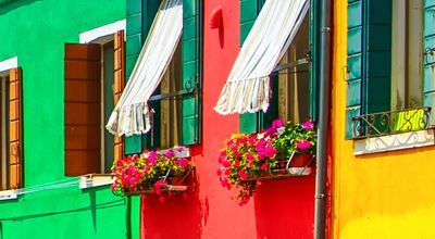 Paints and coatings visual—highlighting pigments and surfactants used in decorative and industrial applications.