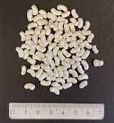 Perkadox 14-EP40/Perkadox BC-EP40 off-white granules