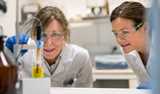 Scientists at work in a Nouryon Lab